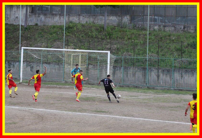 IMG_8950_tn.jpg