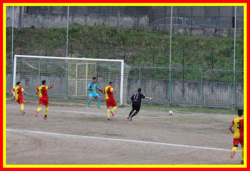 IMG_8951_tn.jpg