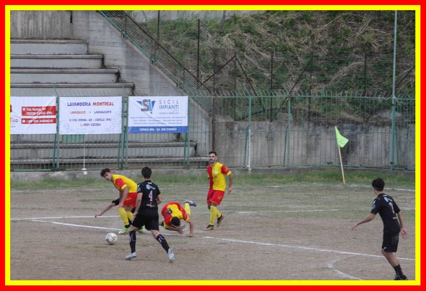 IMG_8988_tn.jpg