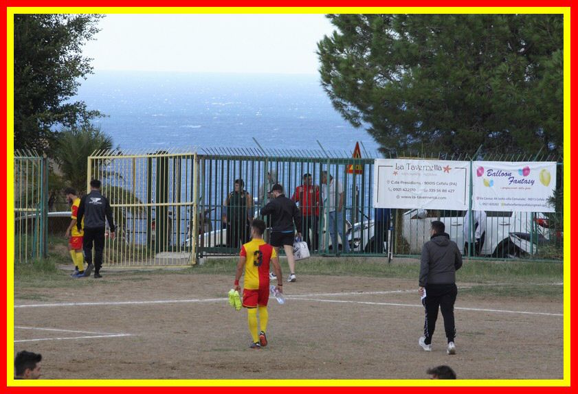 IMG_8994_tn.jpg
