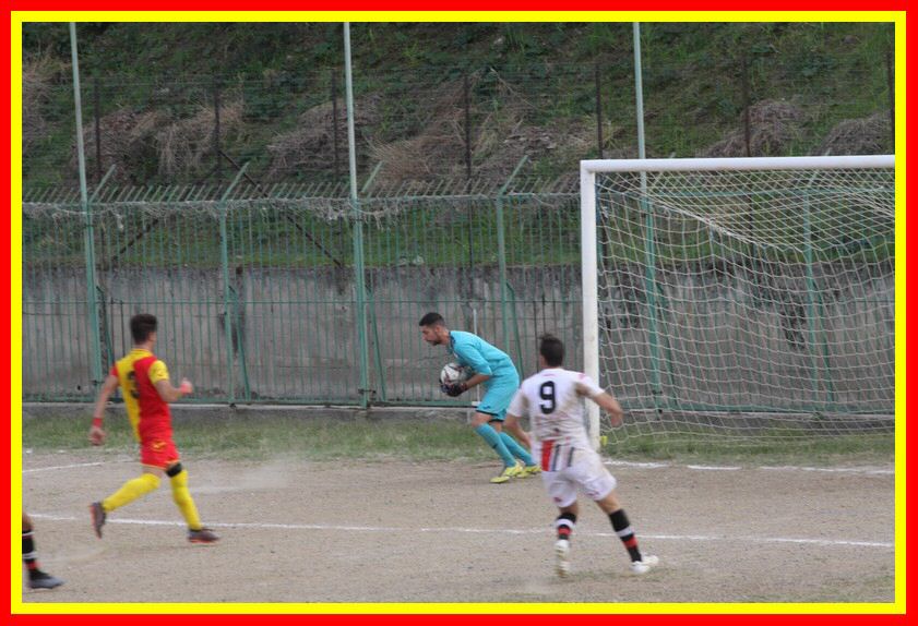 IMG_9205_tn.jpg