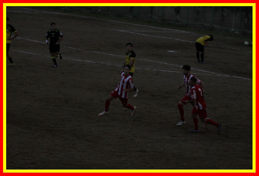 IMG_9379_tn.jpg
