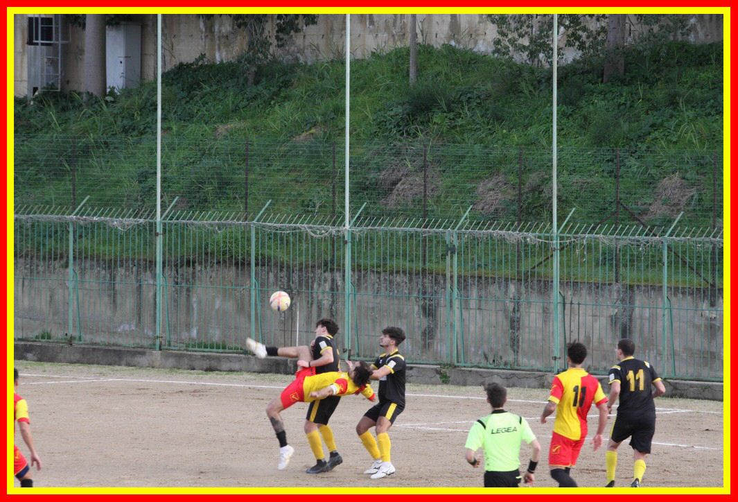 IMG_0346_tn.jpg