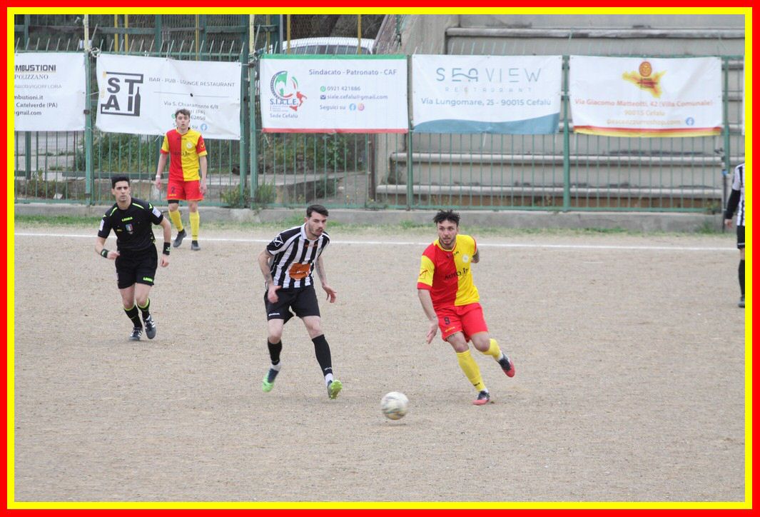 IMG_1001_tn.jpg
