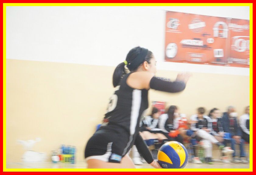 DSC06295_tn.jpg