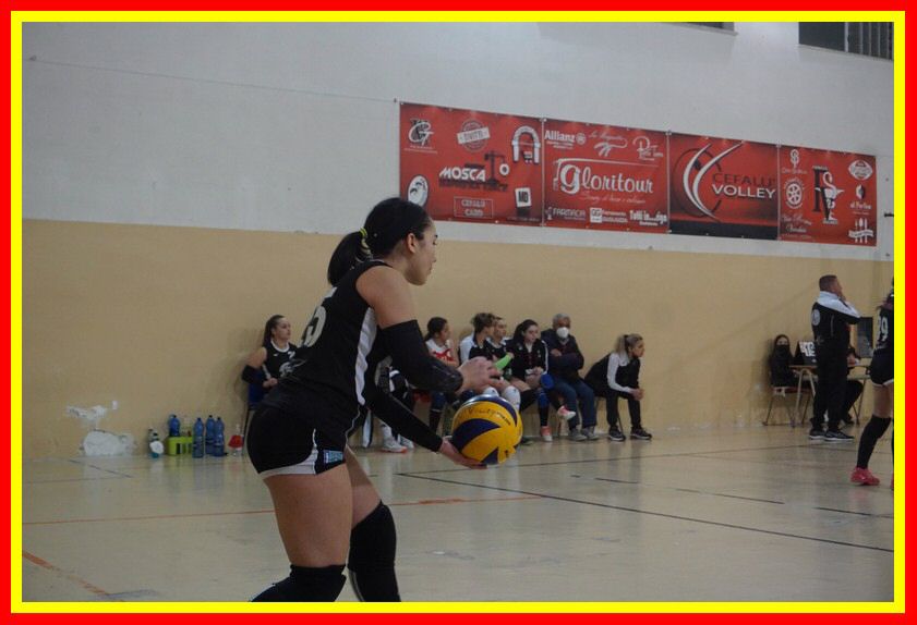 DSC06320_tn.jpg