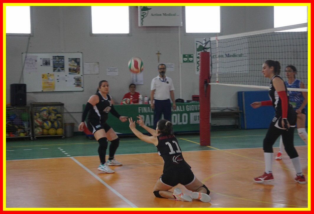 DSC05033_tn.jpg