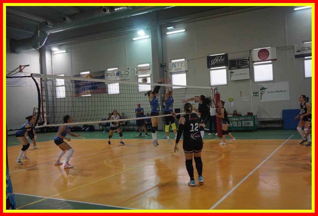 DSC05158_tn.jpg