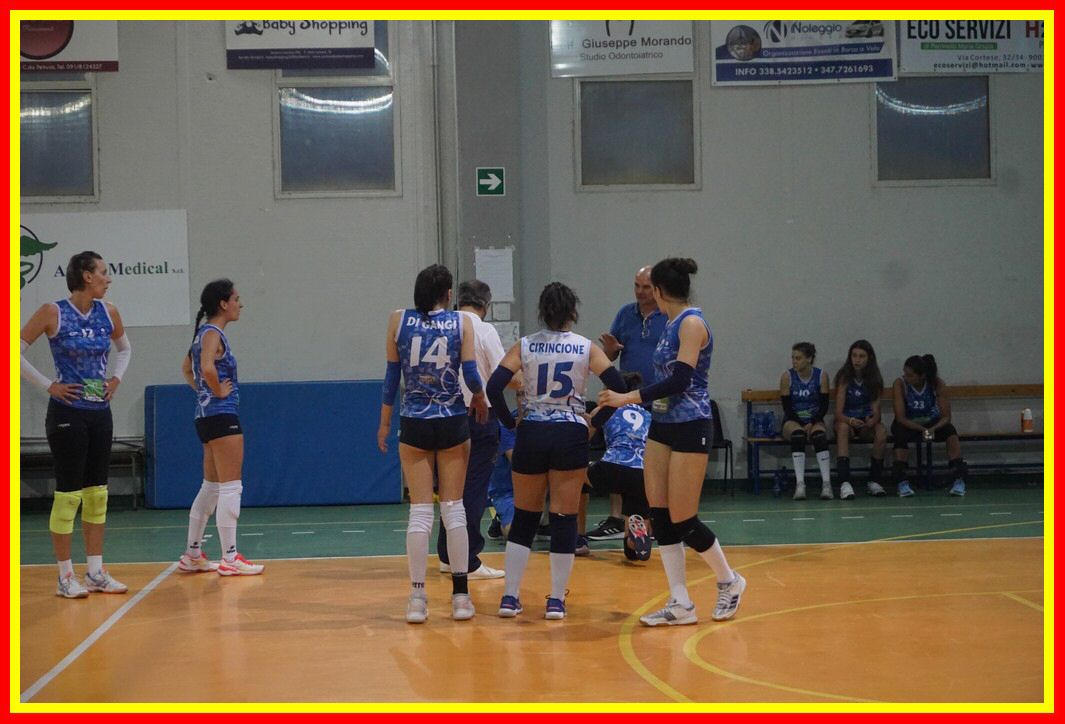 DSC05178_tn.jpg