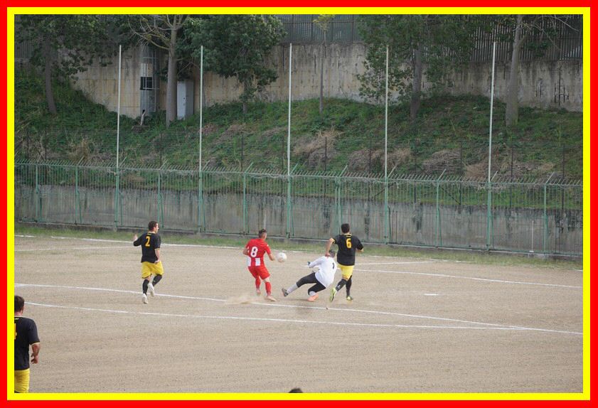 DSC09939_tn.jpg