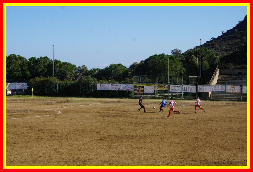 DSC01728_tn.jpg