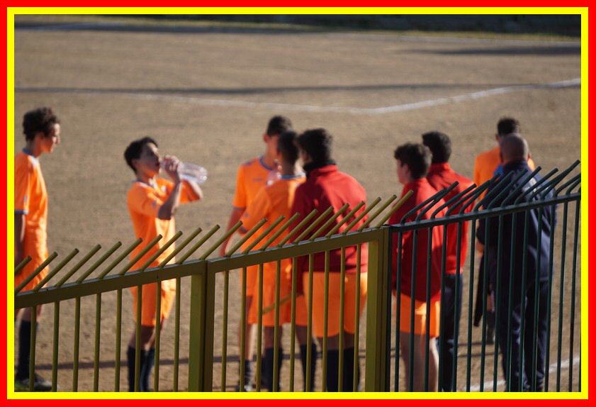 DSC04877_tn.jpg