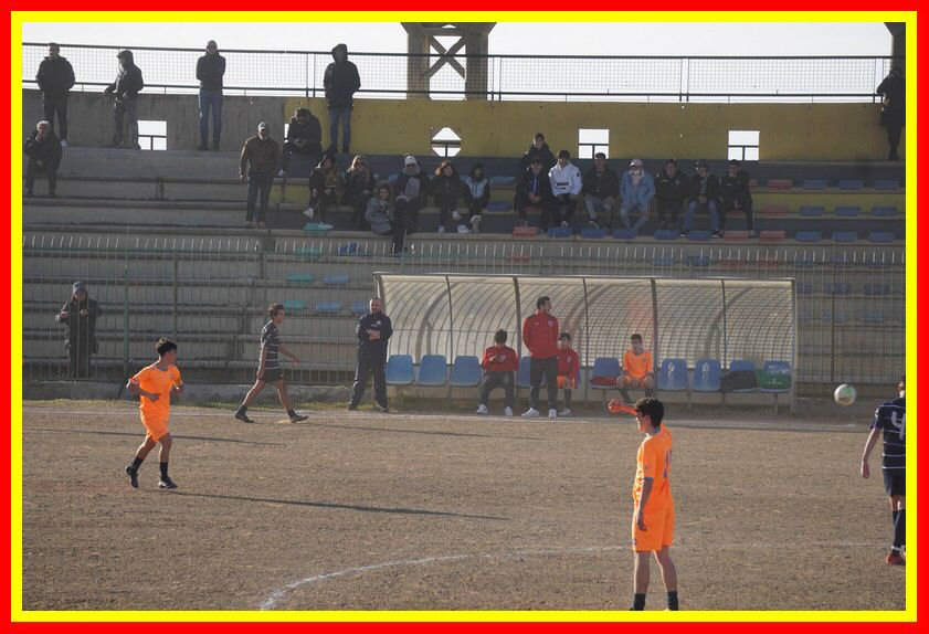 DSC04887_tn.jpg