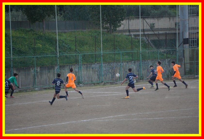 DSC04914_tn.jpg