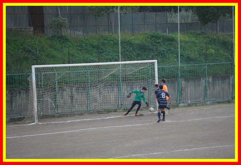 DSC04915_tn.jpg