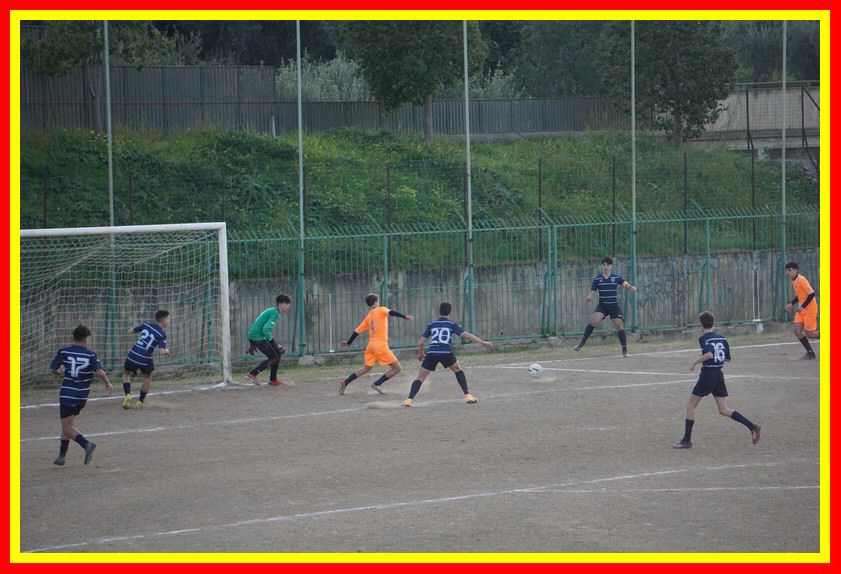 DSC04917_tn.jpg