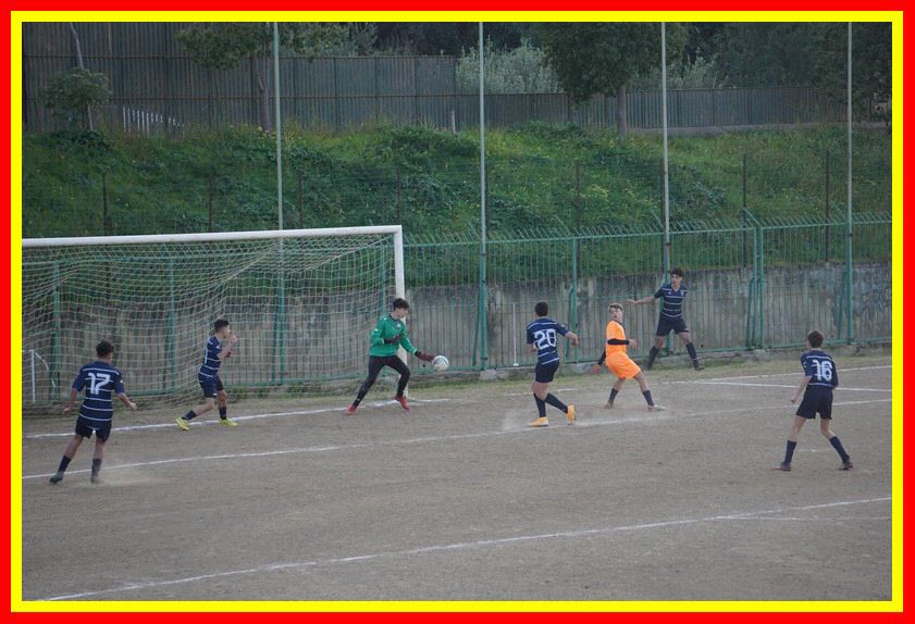 DSC04918_tn.jpg