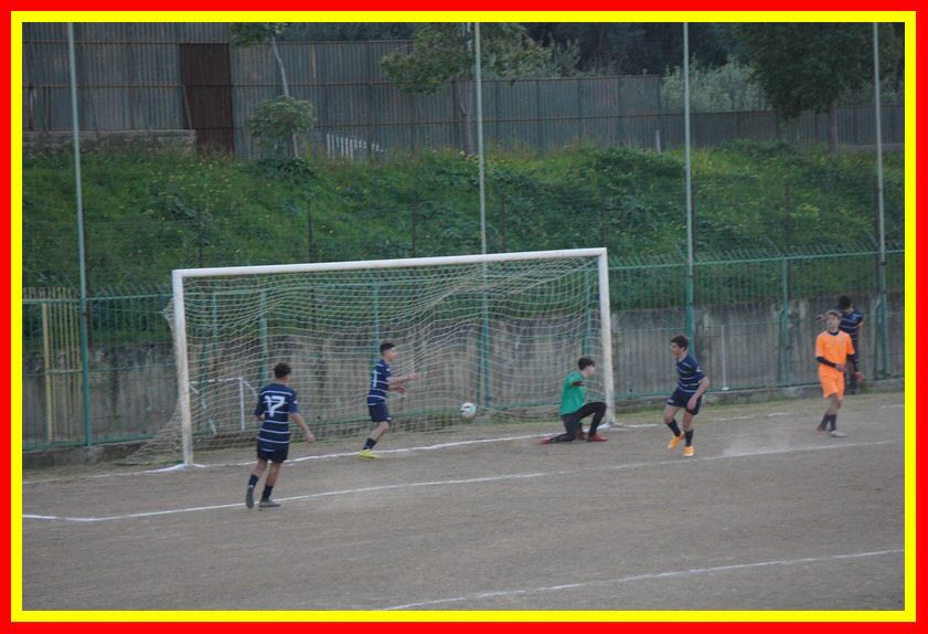 DSC04919_tn.jpg