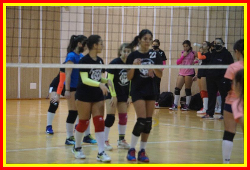 DSC01906_tn.jpg