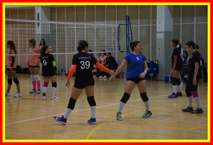 DSC01930_tn.jpg