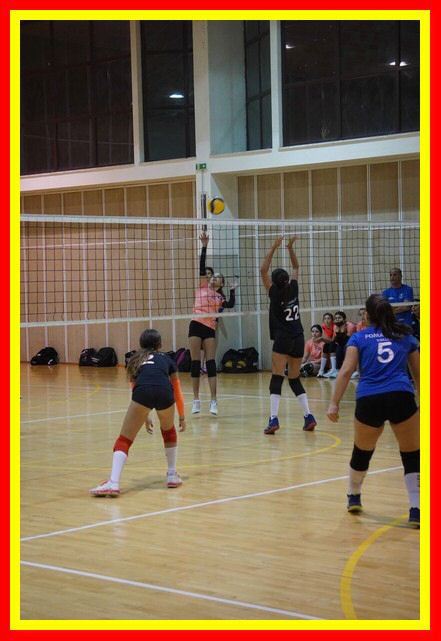 DSC01945_tn.jpg
