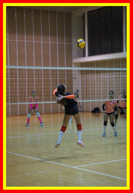 DSC01946_tn.jpg