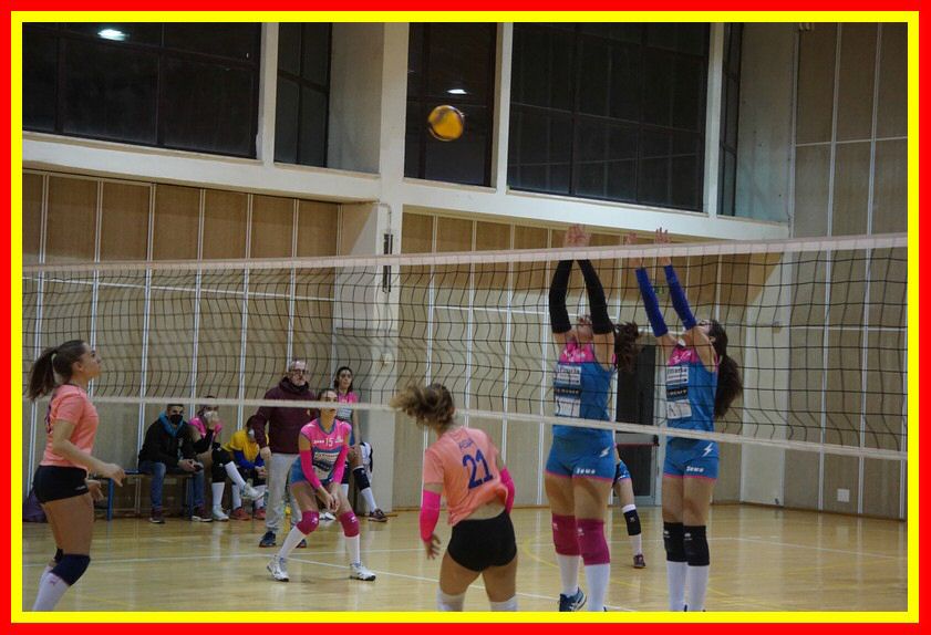 DSC05086_tn.jpg
