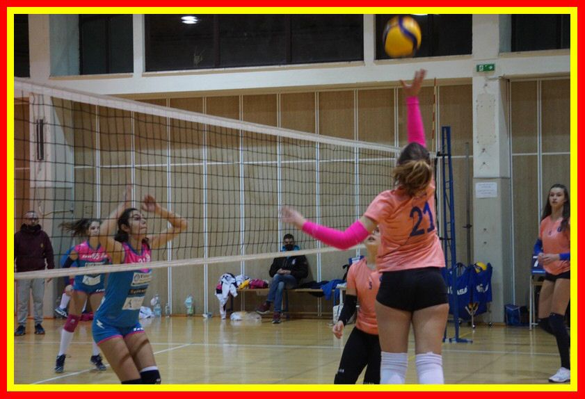DSC05126_tn.jpg