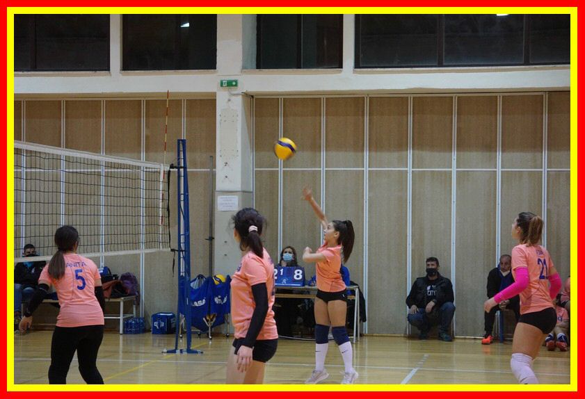 DSC05136_tn.jpg