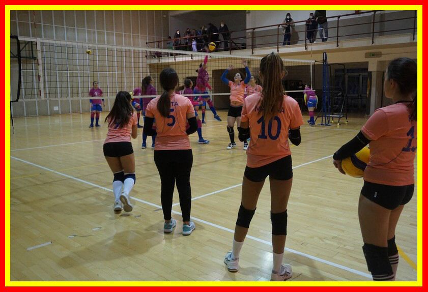 DSC05710_tn.jpg