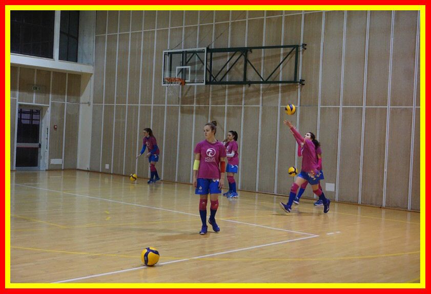 DSC05715_tn.jpg