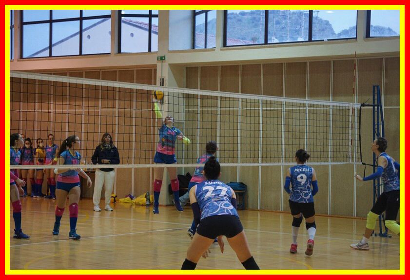 DSC06120_tn.jpg