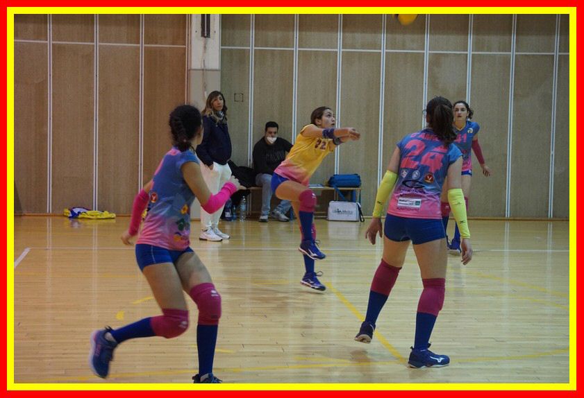 DSC06158_tn.jpg