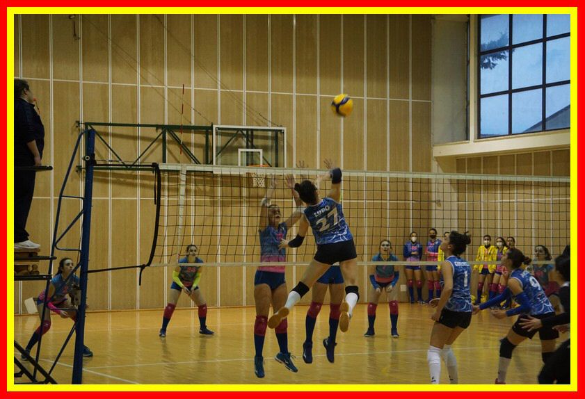 DSC06178_tn.jpg