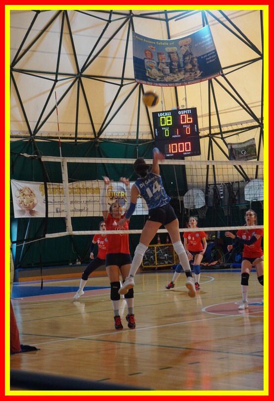 DSC03201_tn.jpg