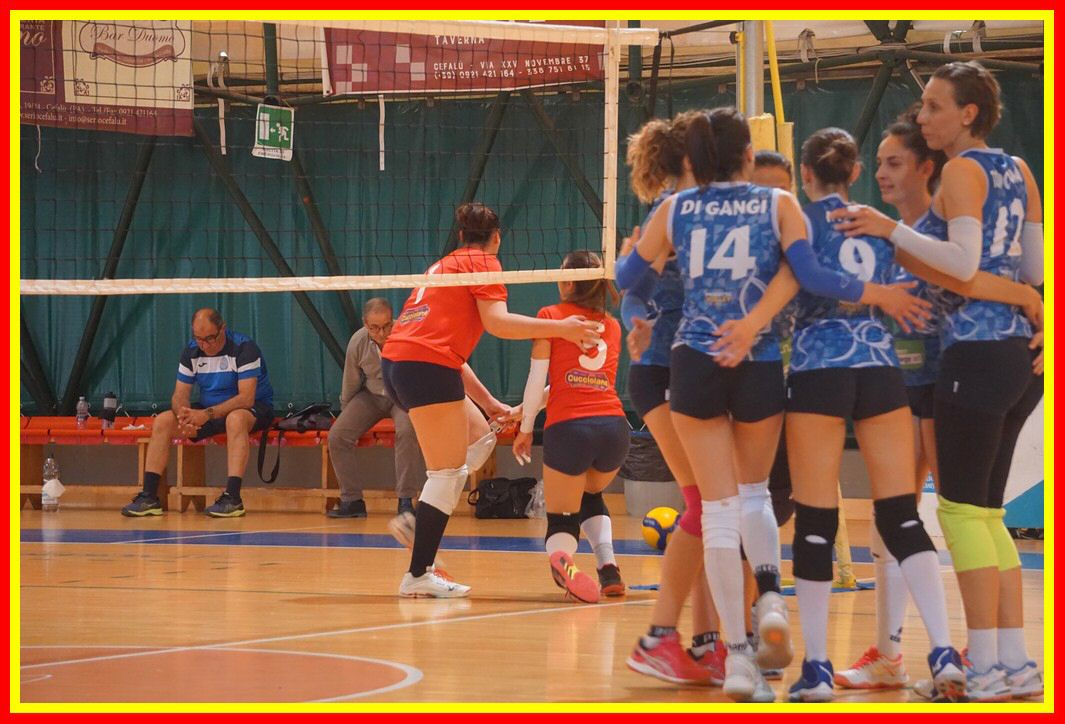 DSC03206_tn.jpg