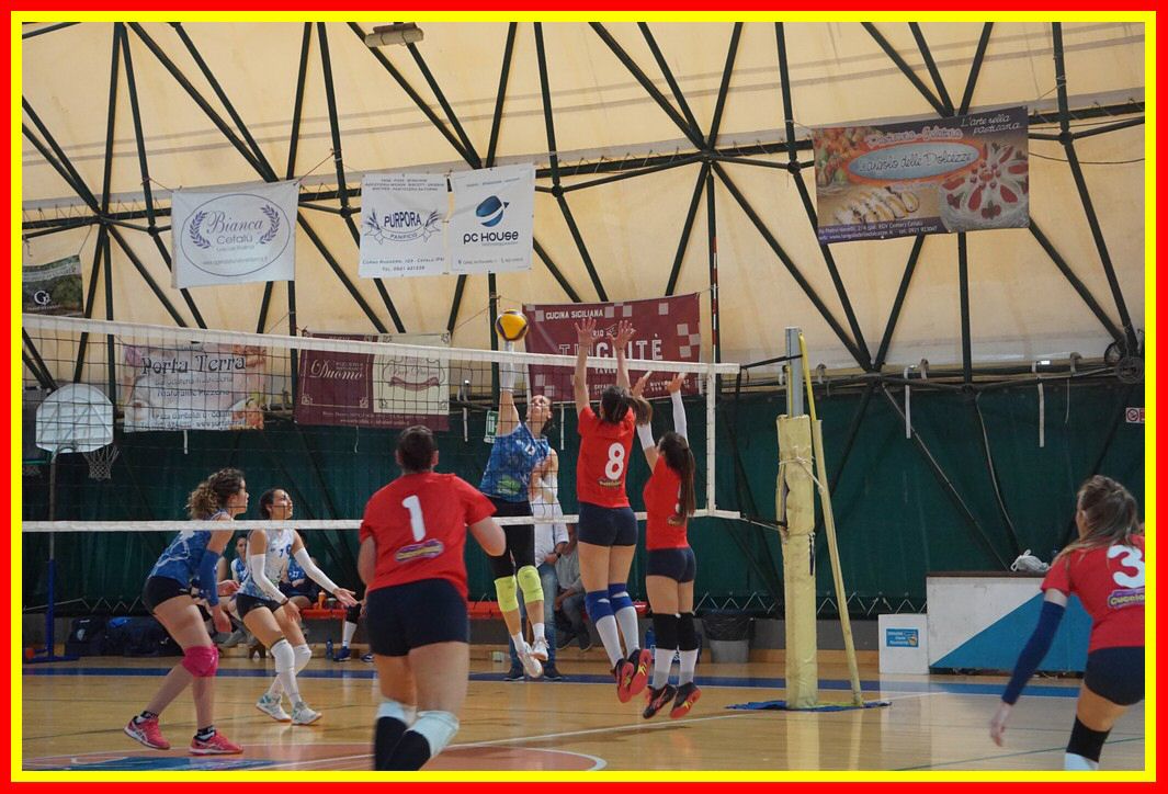 DSC03272_tn.jpg