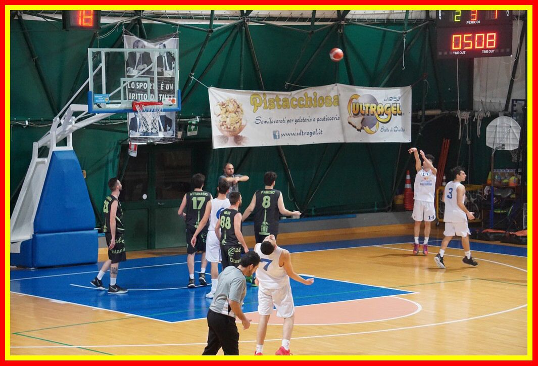 DSC06751_tn.jpg