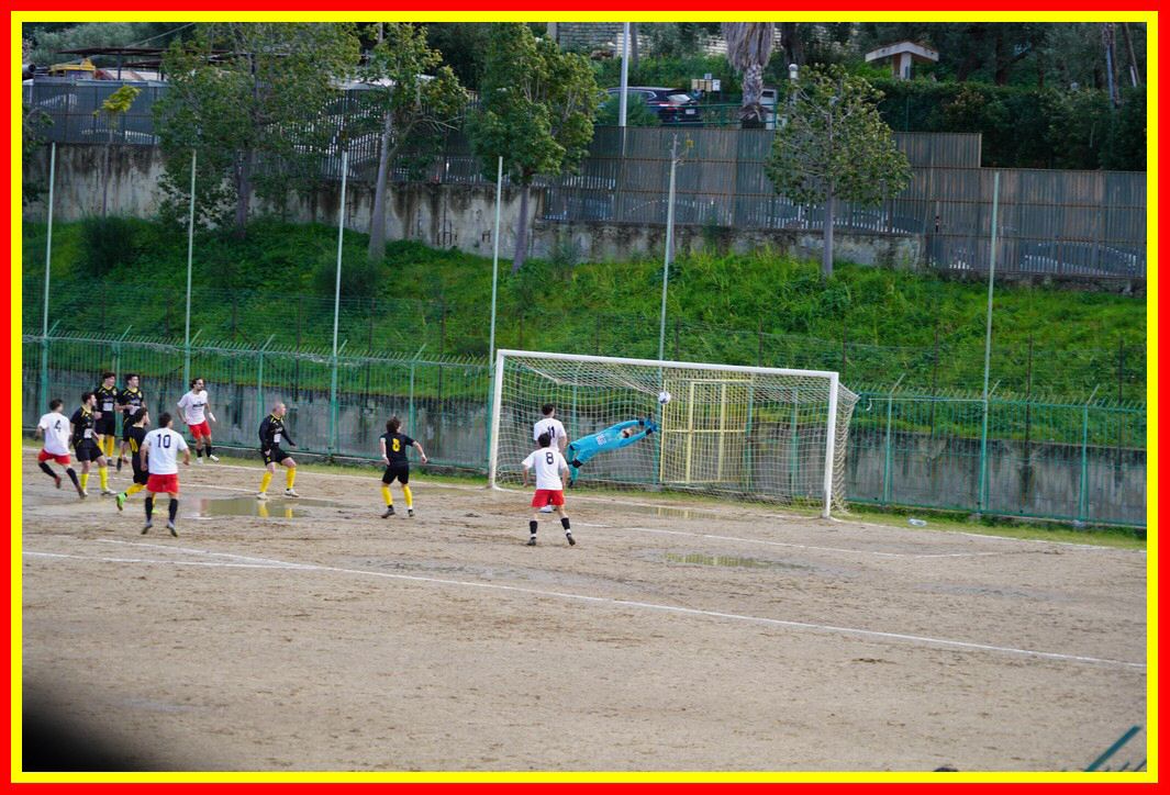 DSC01238_tn.JPG