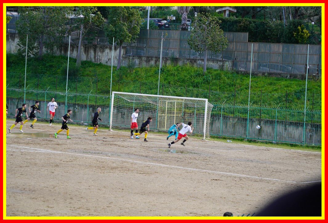 DSC01239_tn.JPG