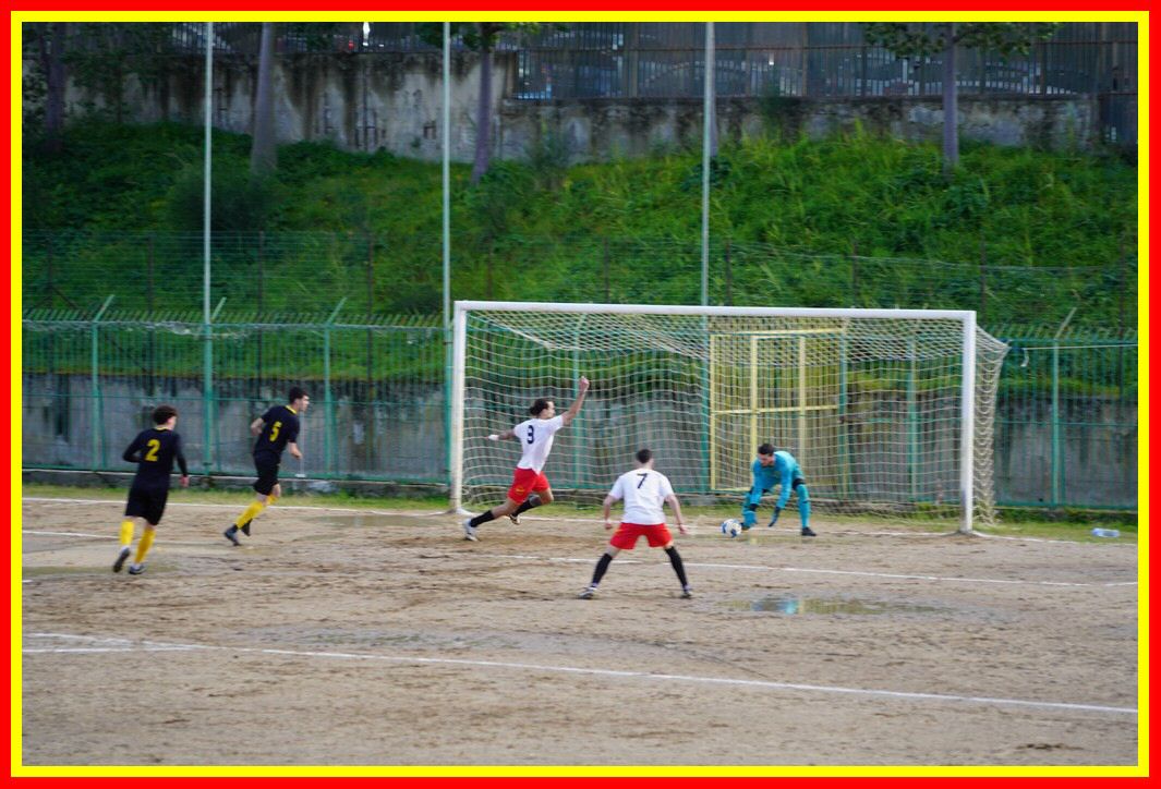 DSC01241_tn.JPG