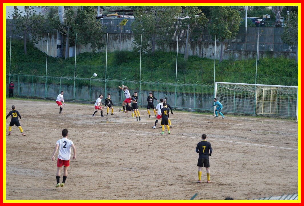 DSC01261_tn.JPG