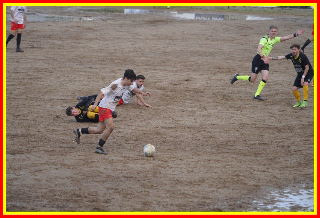 DSC01283_tn.JPG
