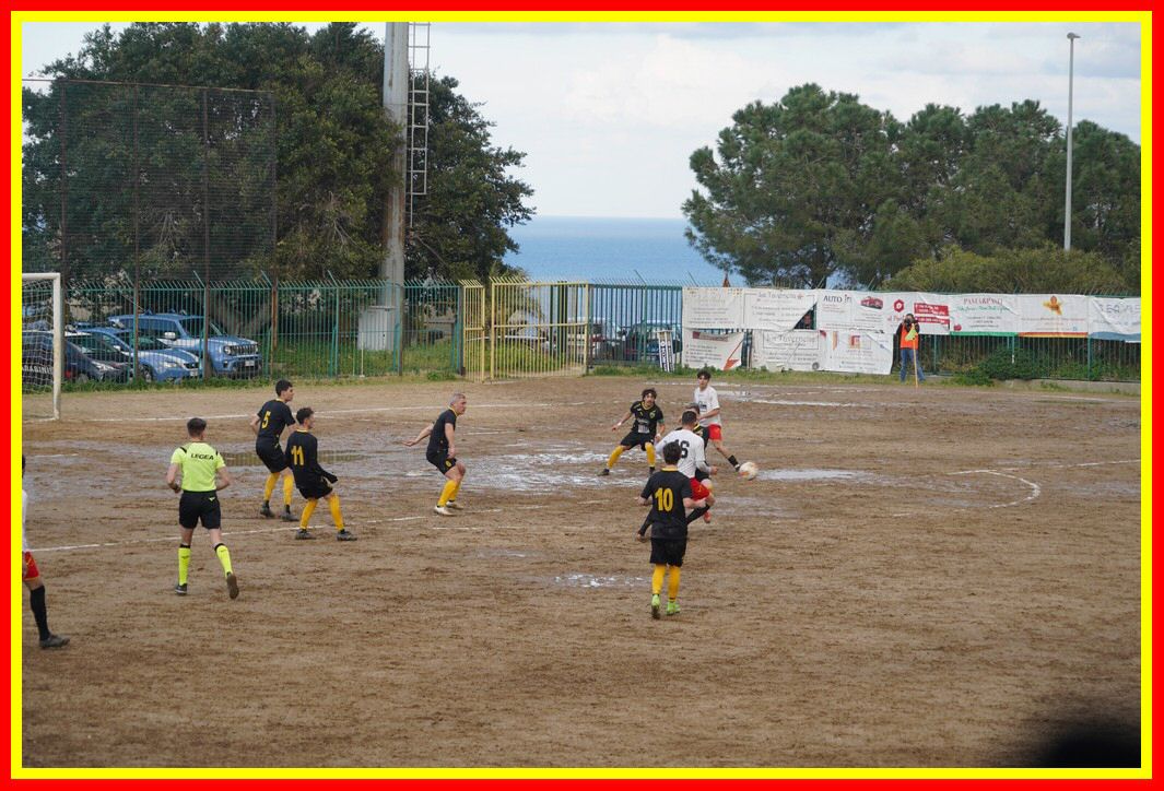 DSC01307_tn.JPG