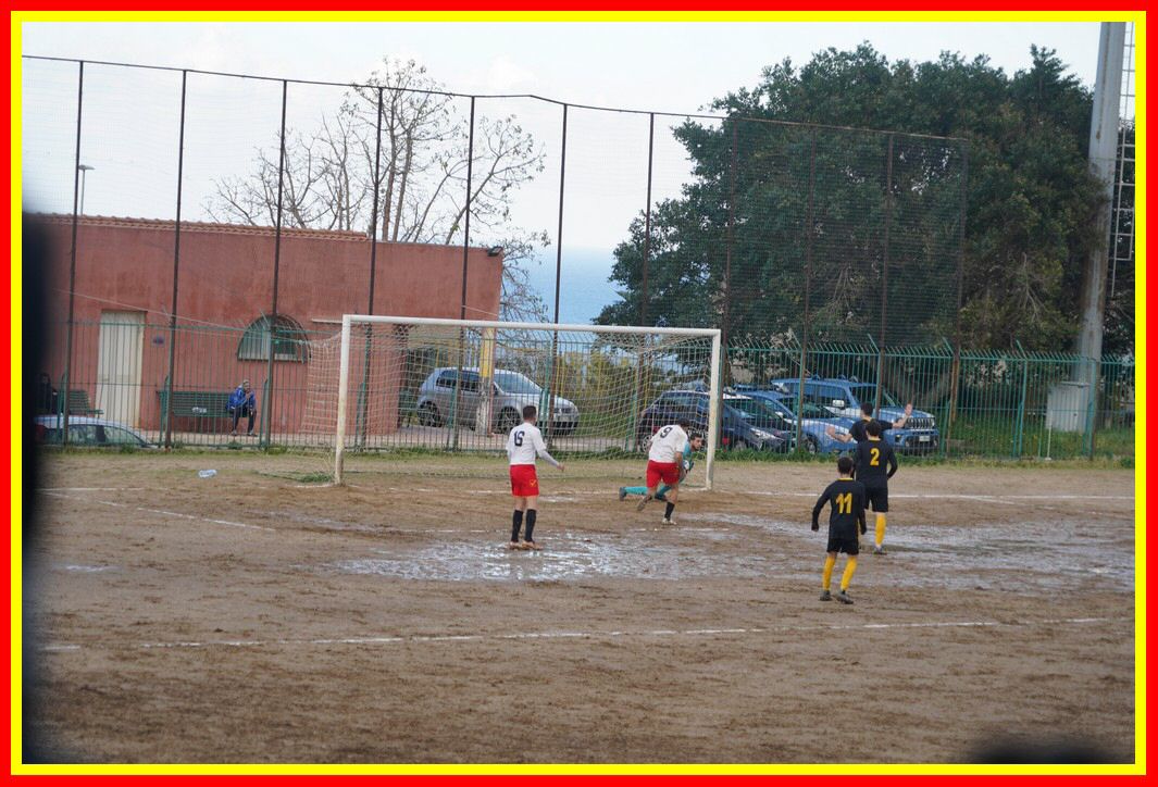DSC01319_tn.JPG