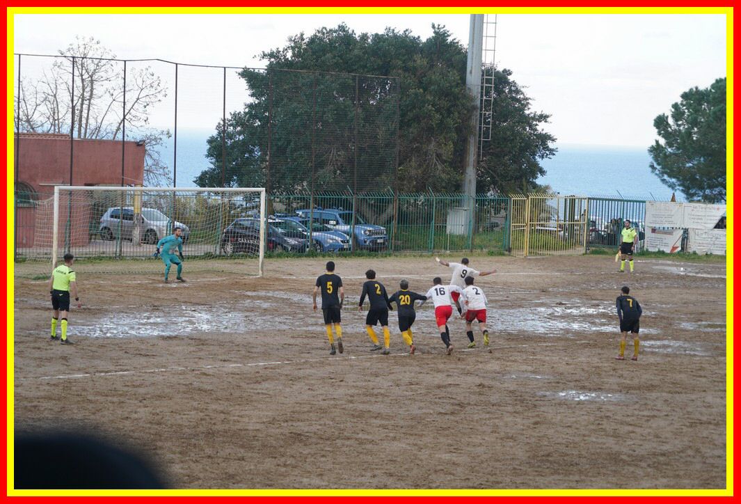 DSC01331_tn.JPG