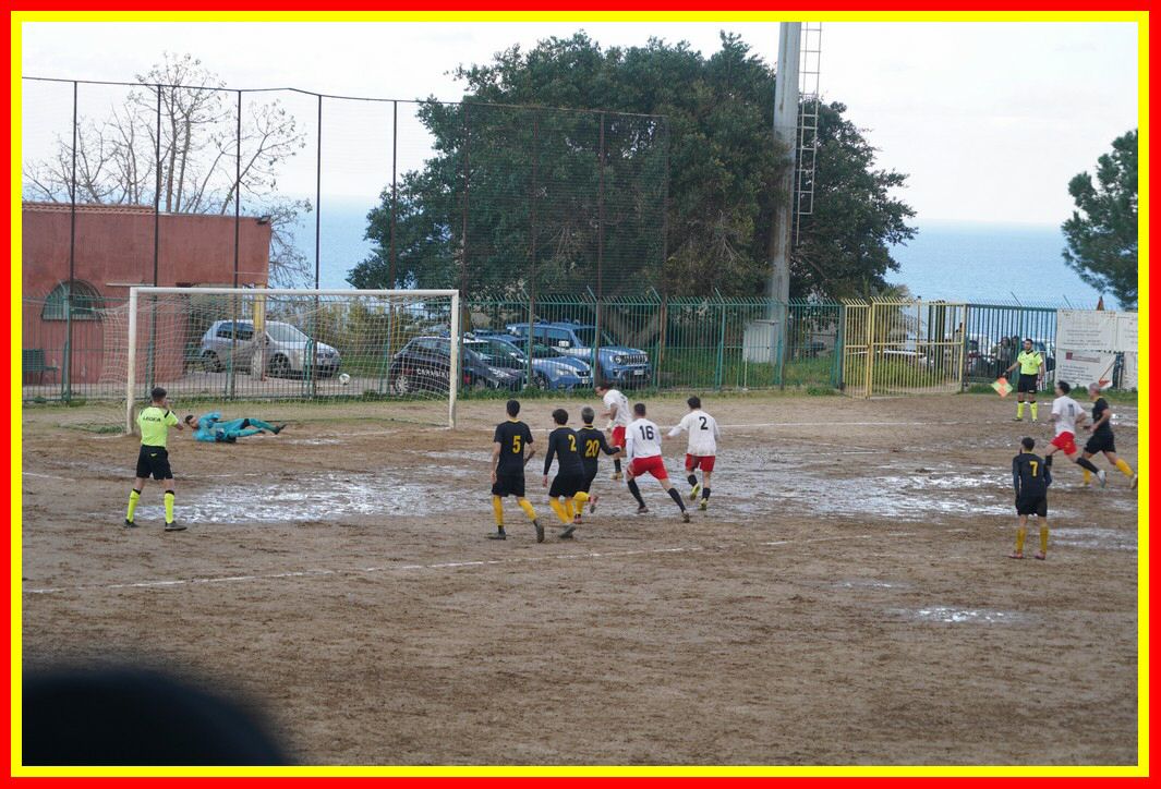 DSC01336_tn.JPG
