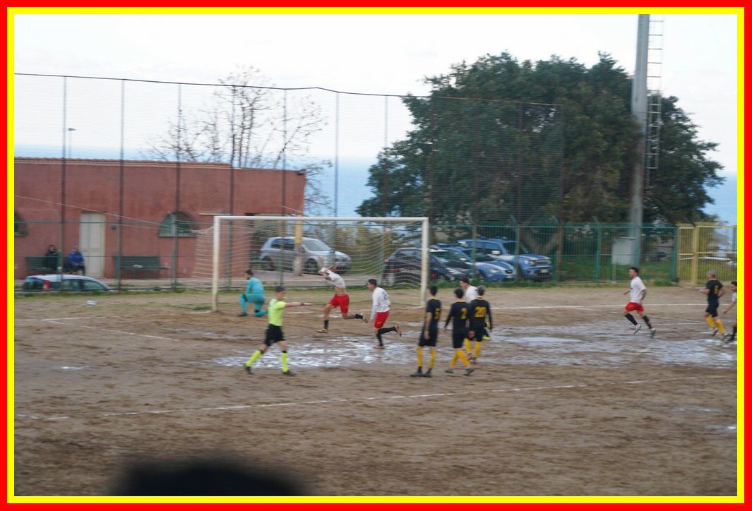 DSC01338_tn.JPG