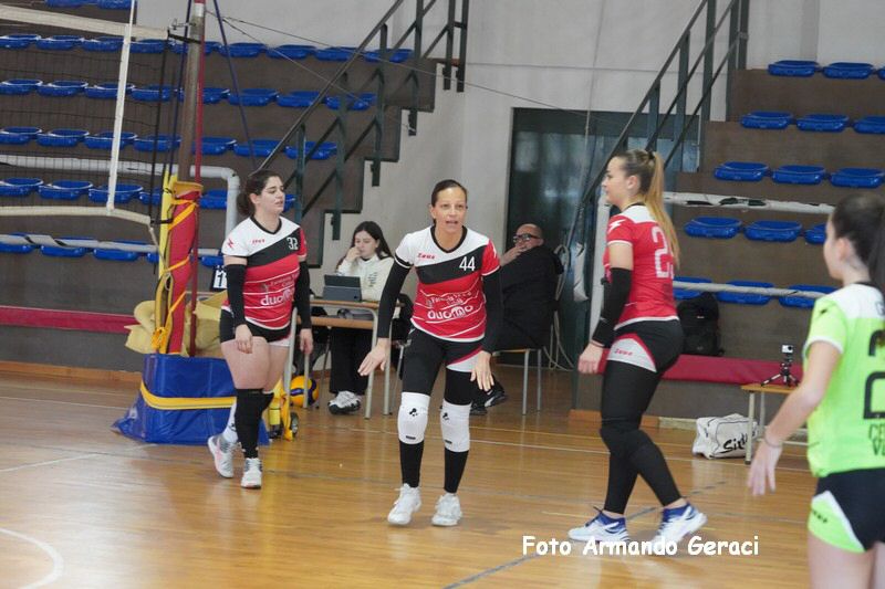 DSC05238_tn.jpg
