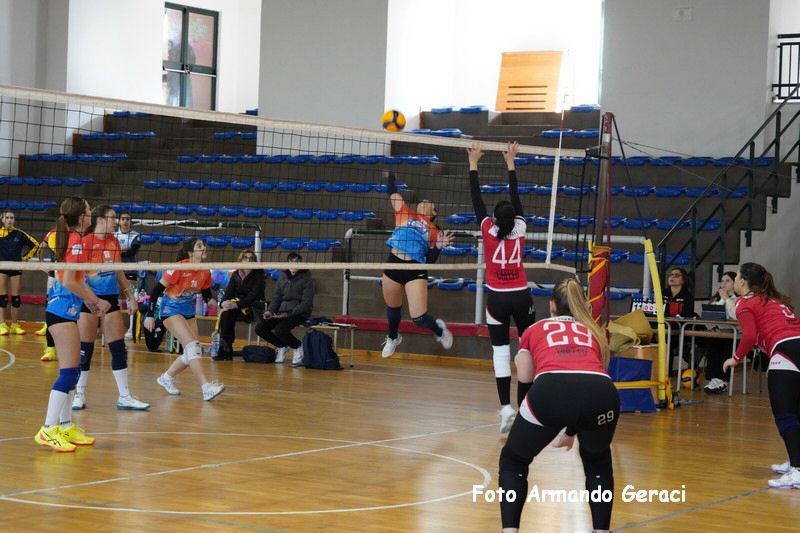 DSC05247_tn.jpg